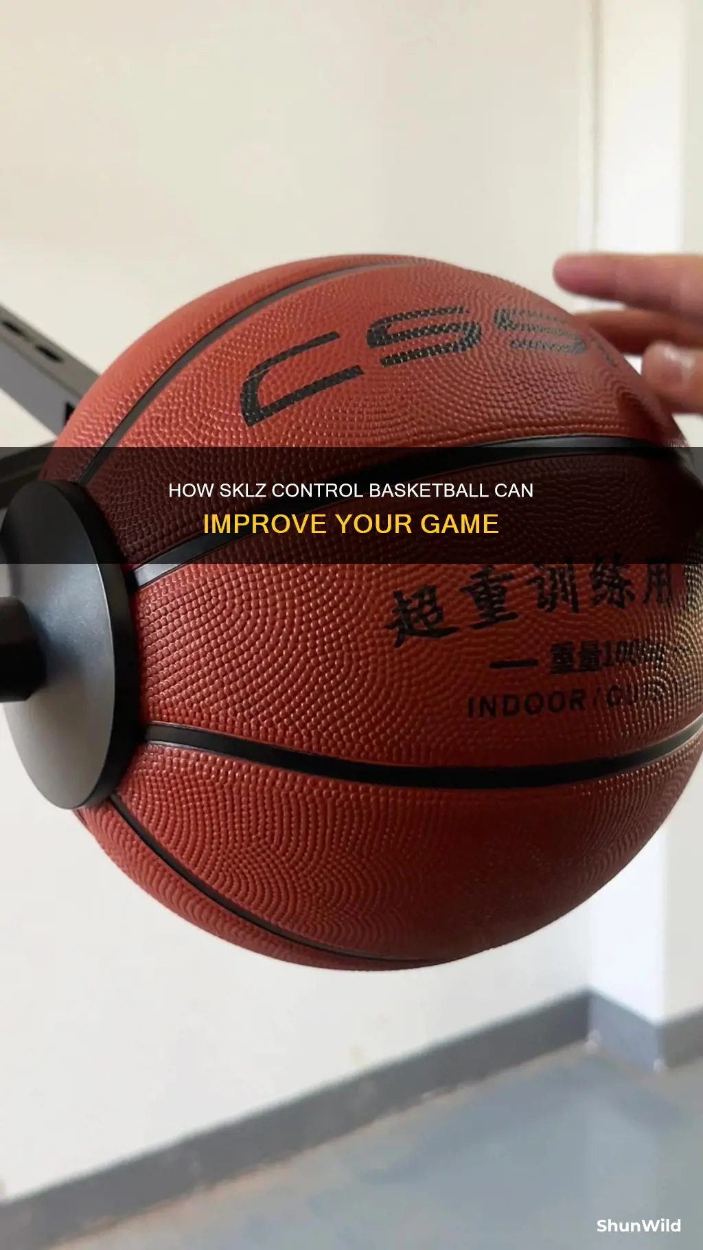 does sklz control basketball work