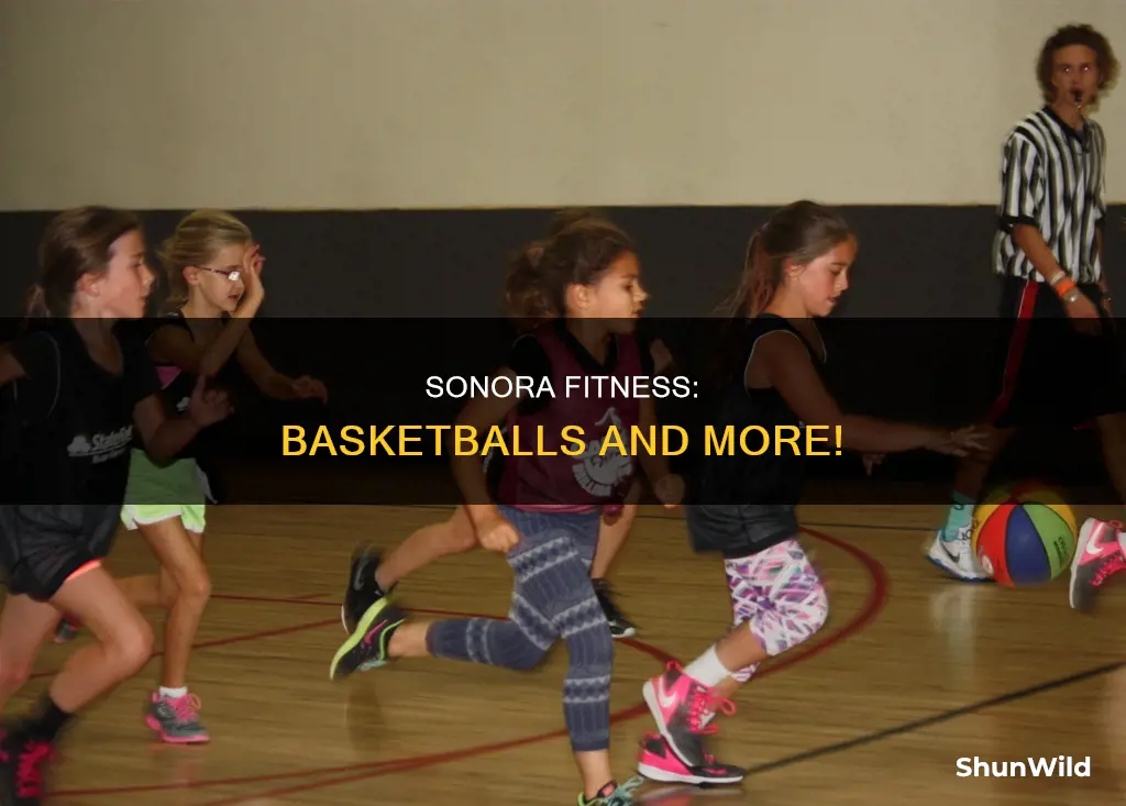 does sonora fitness provide basketballs