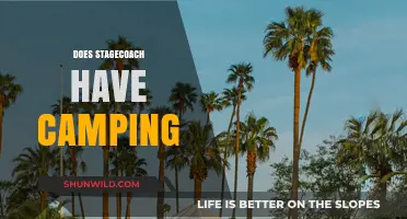 Exploring Stagecoach Festival: Camping Options and What to Expect