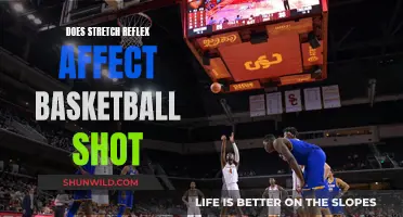 The Stretch Reflex Effect: Enhancing or Hindering the Basketball Shot?