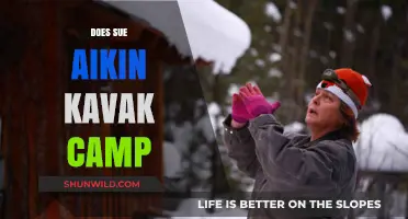 Exploring the Legal Battle: Sue Aikin vs. Kavak Camp