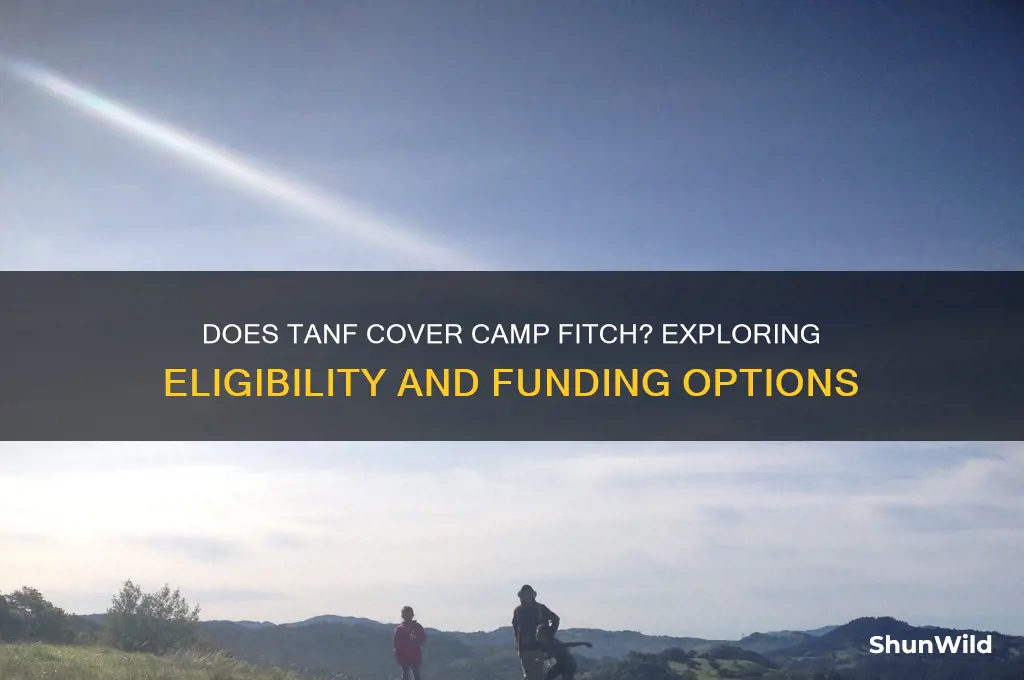 does tanf cover camp fitch