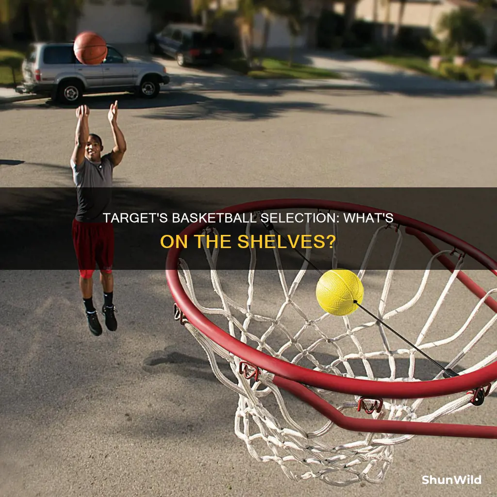does target have basketballs