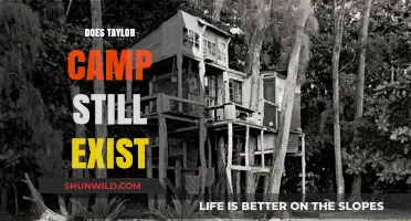 Taylor Camp's Legacy: Does the Iconic Hippie Community Still Exist?