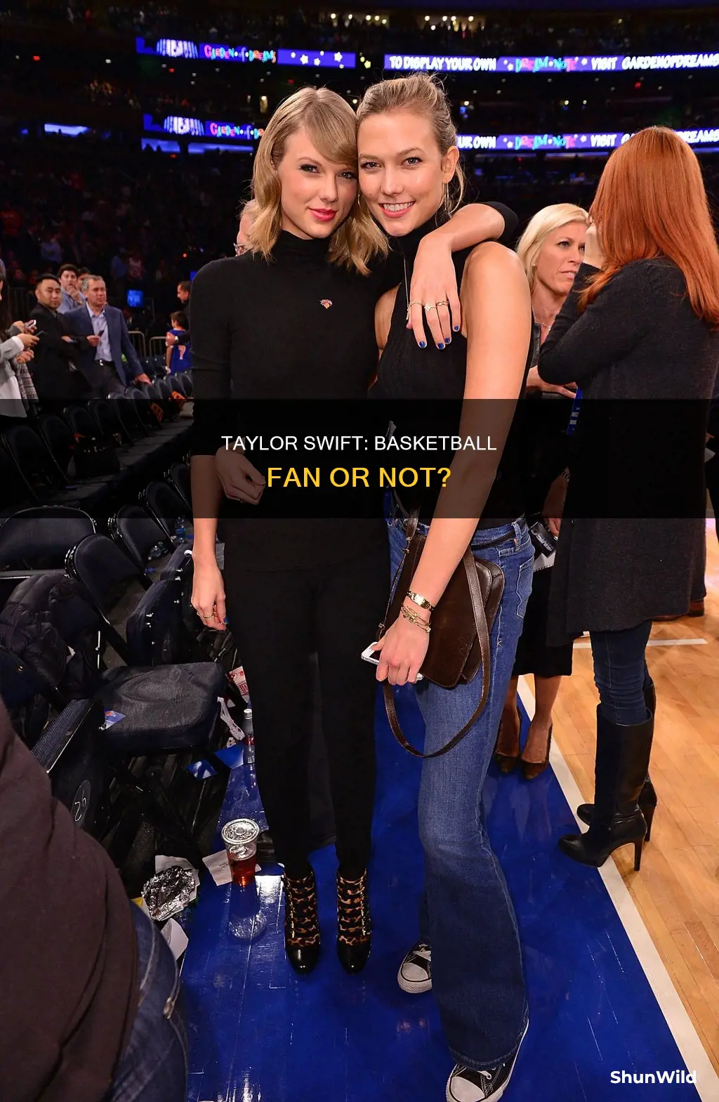 does taylor swift like basketball