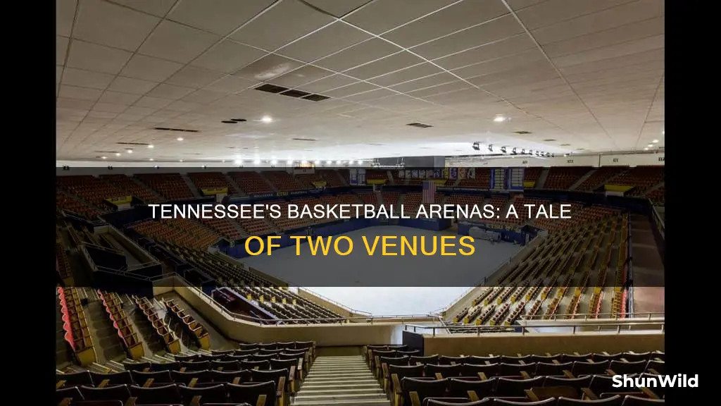 does tennessee have 2 basketball arenas