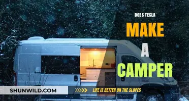 Exploring Tesla's Camper Van: Fact or Fiction?