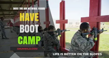 Does the Air National Guard Have Boot Camp? Facts Revealed