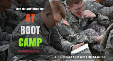Army Drug Testing at Boot Camp: What Recruits Need to Know