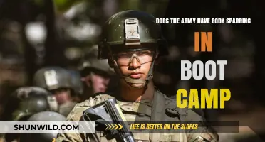 Army Boot Camp Training: Does Body Sparring Play a Role?