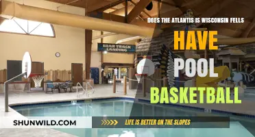 Pool Basketball at the Wisconsin Dells' Atlantis?