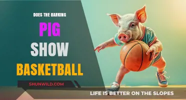 Basketball at the Barking Pig: What to Expect
