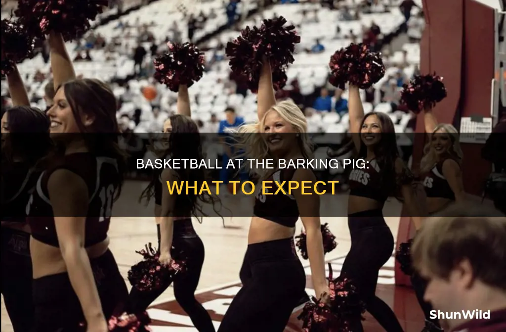 does the barking pig show basketball