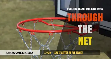 The Net: Friend or Foe in Basketball?