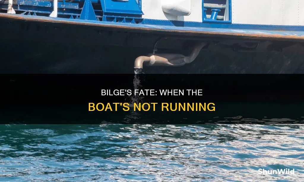 does the bilge go if boat not in run