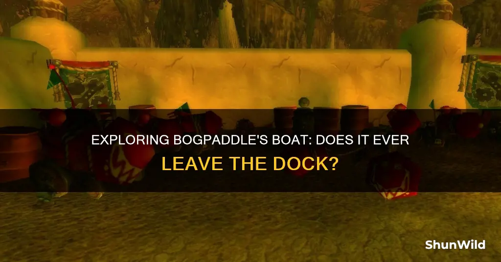does the boat in bogpaddle go anywhere