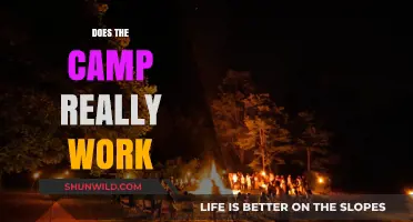 Does the Camp Really Work? Uncovering the Truth Behind the Hype