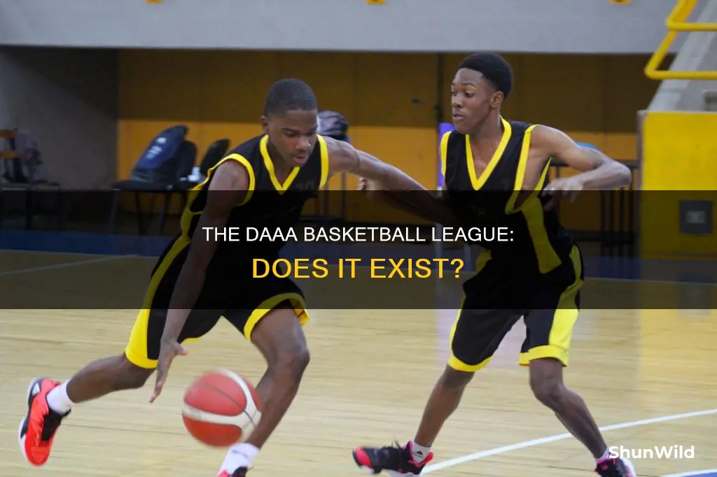 does the daaa have basketball