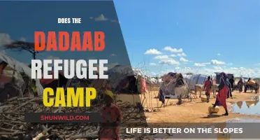 Dadaab Refugee Camp: Challenges, Resilience, and Hope for a Better Future