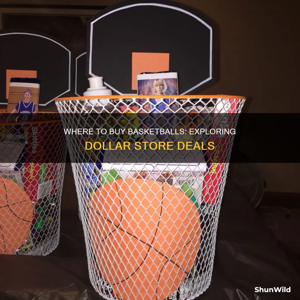 does the dollar store sell basketballs