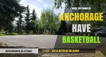 Anchorage's Basketball Scene at the Dome
