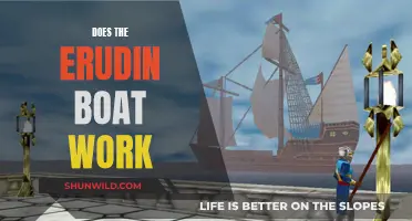 Erudin Boat: Does it Work?