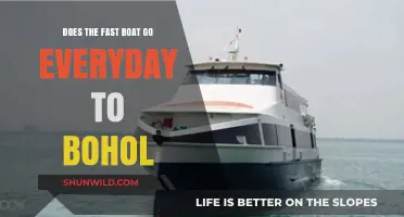 Bohol Boat Schedules: Daily Fast Ferry to Paradise