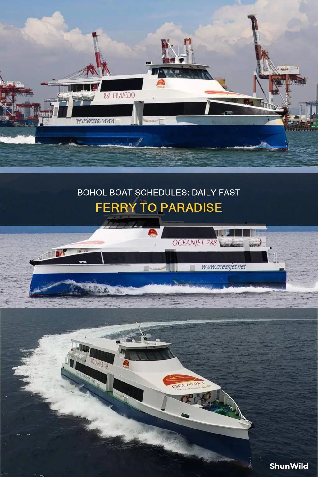 does the fast boat go everyday to bohol