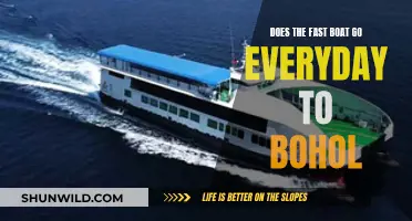 Fast Boat to Bohol: Daily Schedules and More