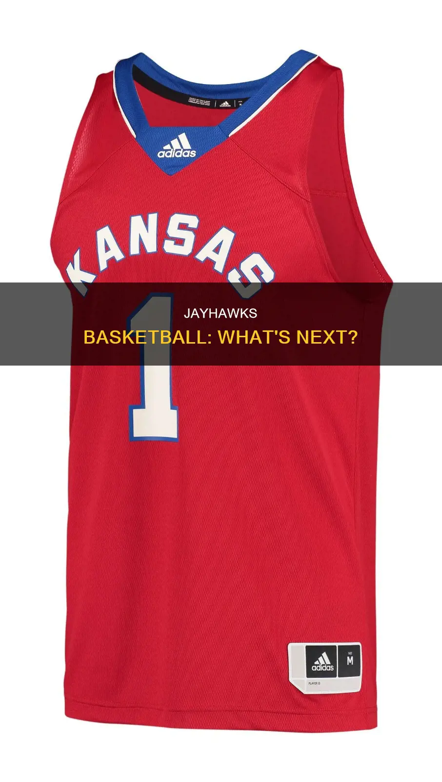 does the jayhawks basketball next