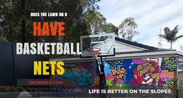 Lawn on D: Basketball and More