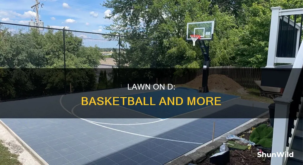 does the lawn on d have basketball nets