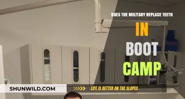 Military Dental Care: Do Recruits Get Teeth Replaced in Boot Camp?
