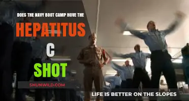Navy Boot Camp: Hepatitis C Vaccination Requirements Explained