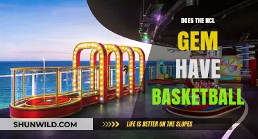 Basketball on the High Seas: NCL Gem's Court