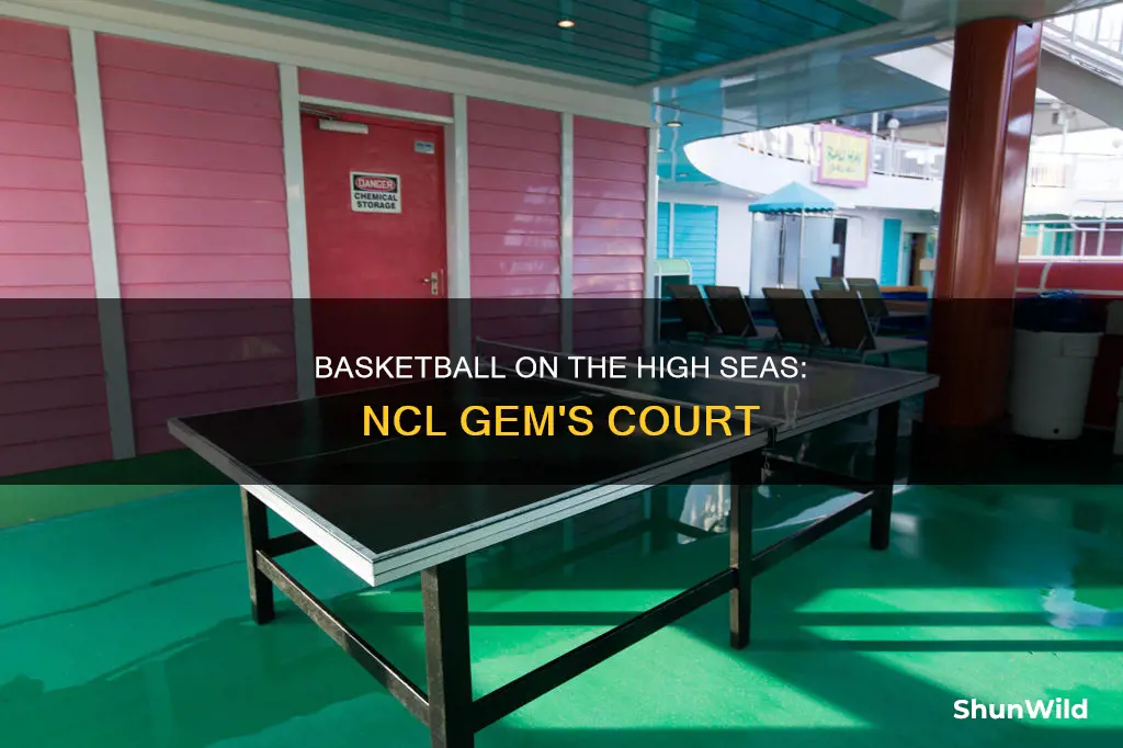 does the ncl gem have basketball