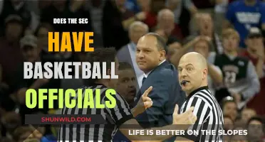 SEC Basketball: Officials and Their Role