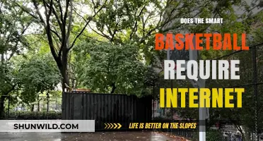 Smart Basketball: Internet Connection Needed?