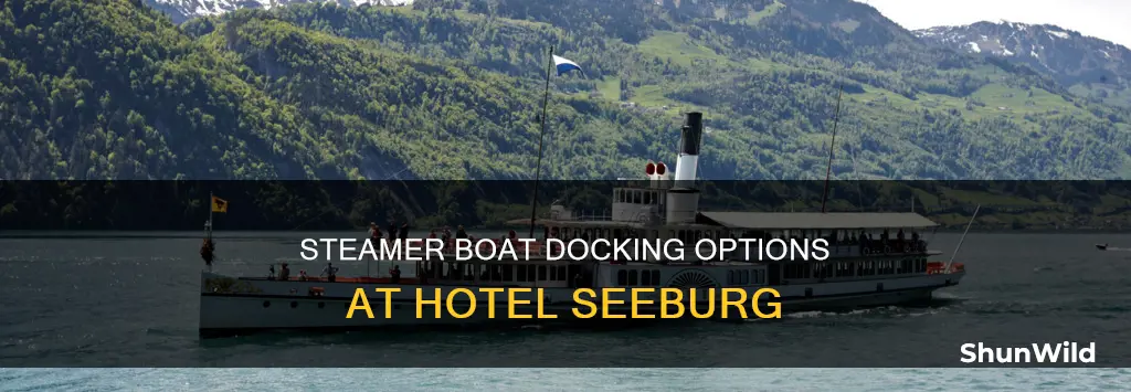 does the steamer boat dock at hotel seeburg