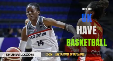 Basketball in the UK: A Growing Sport?