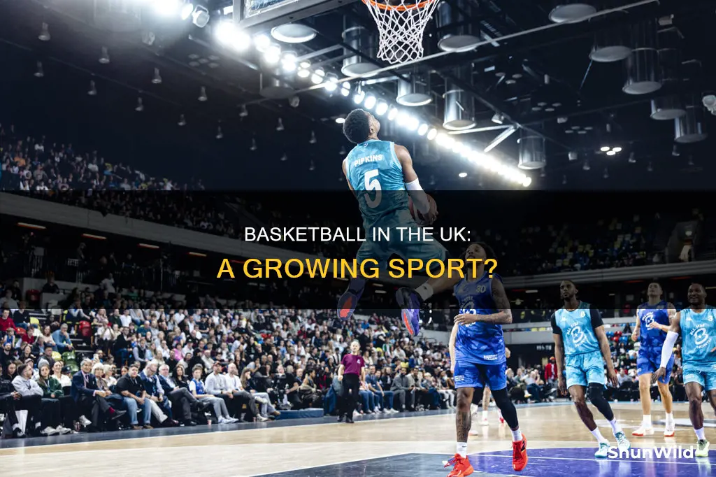 does the uk have basketball