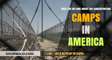 UN's Silence on US Concentration Camps: Accountability or Indifference?