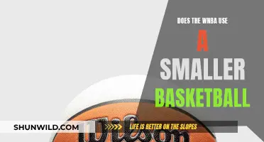 The Size of Success: WNBA's Basketballs and Their Impact