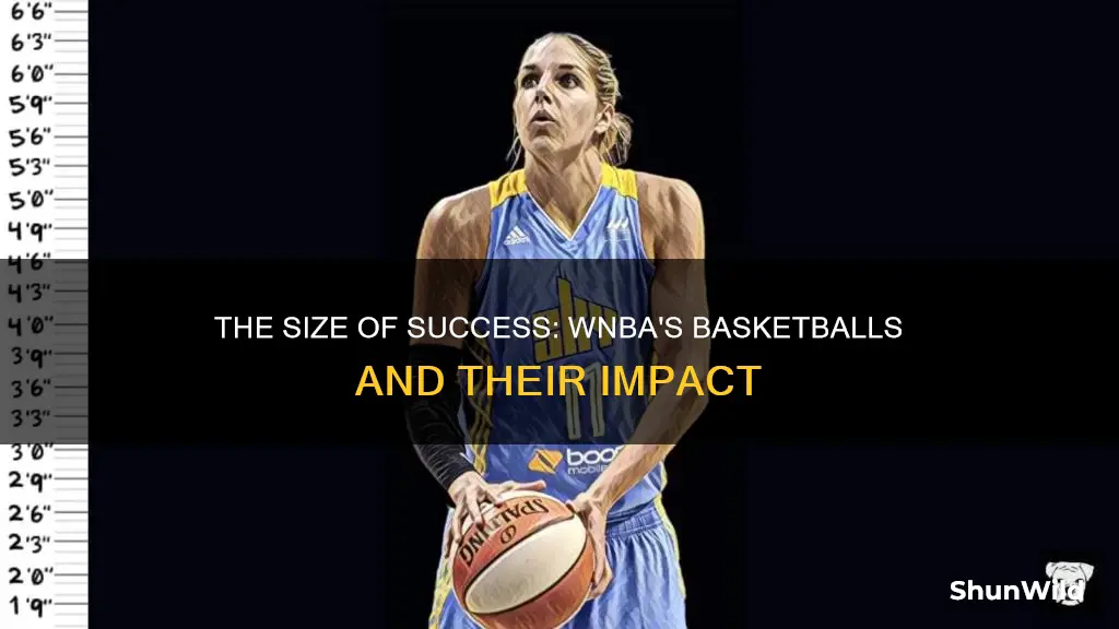does the wnba use a smaller basketball
