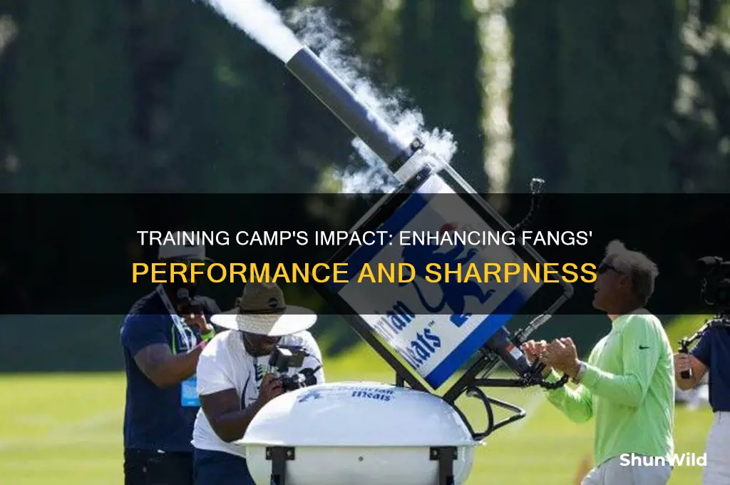 does training camp upgrade fangs
