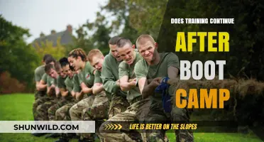 Beyond Boot Camp: Exploring Ongoing Military Training and Development