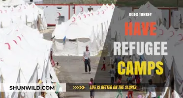 Turkey's Refugee Camps: Reality, Conditions, and Humanitarian Efforts Explained