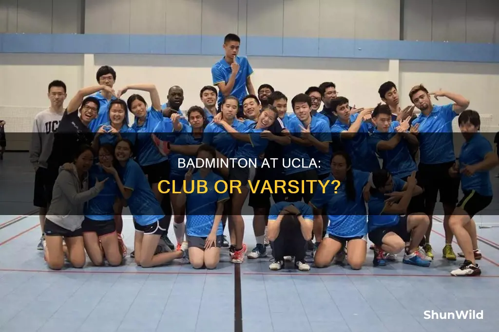 does ucla have badminton