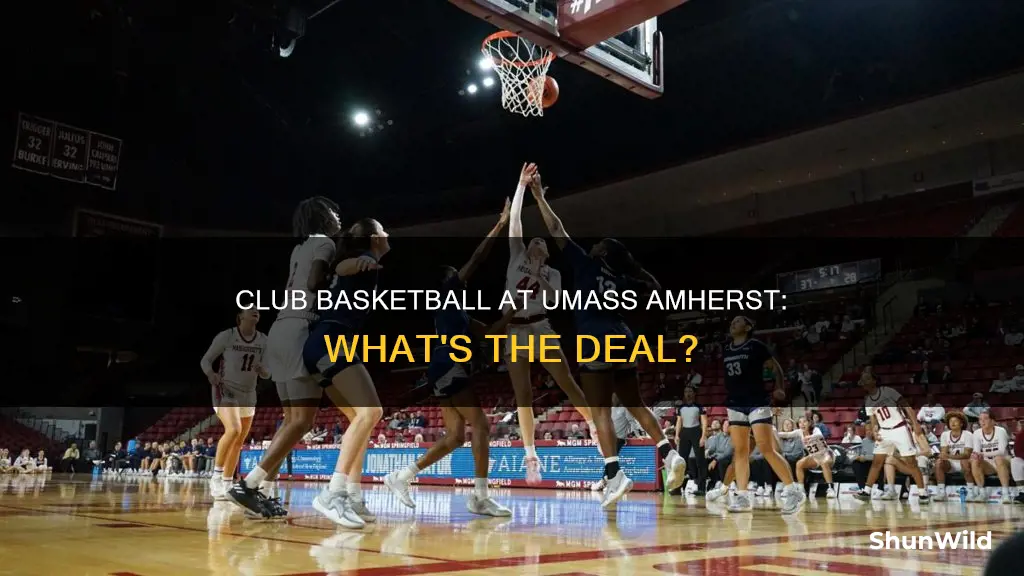 does umass amherst have club basketball