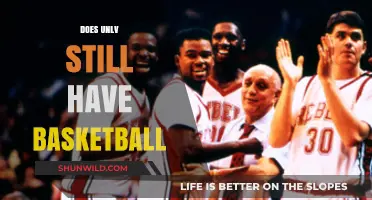 UNLV Basketball: Still a Force to be Reckoned With?